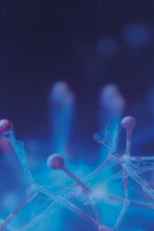 Artificial Intelligence in Pharmacovigilance – 2nd